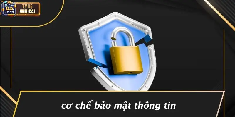 Cơ Chế Bảo Mật Thông Tin