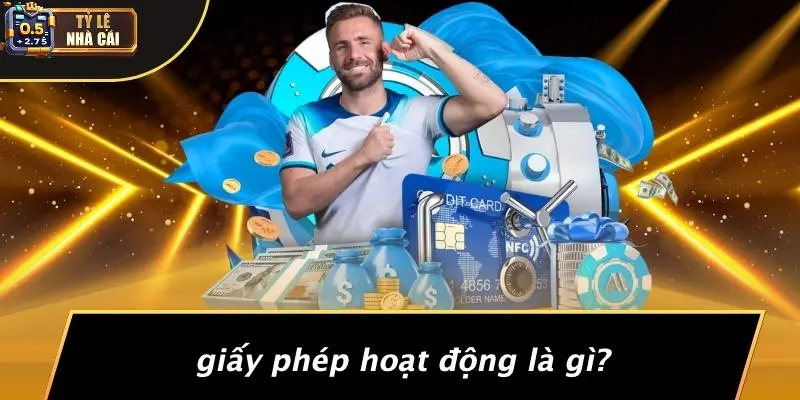 Giấy Phép Hoạt Động Là Gì?