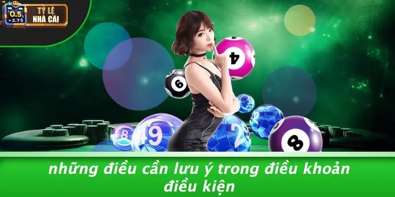 Những Điều Cần Lưu Ý Trong Điều Khoản Điều Kiện