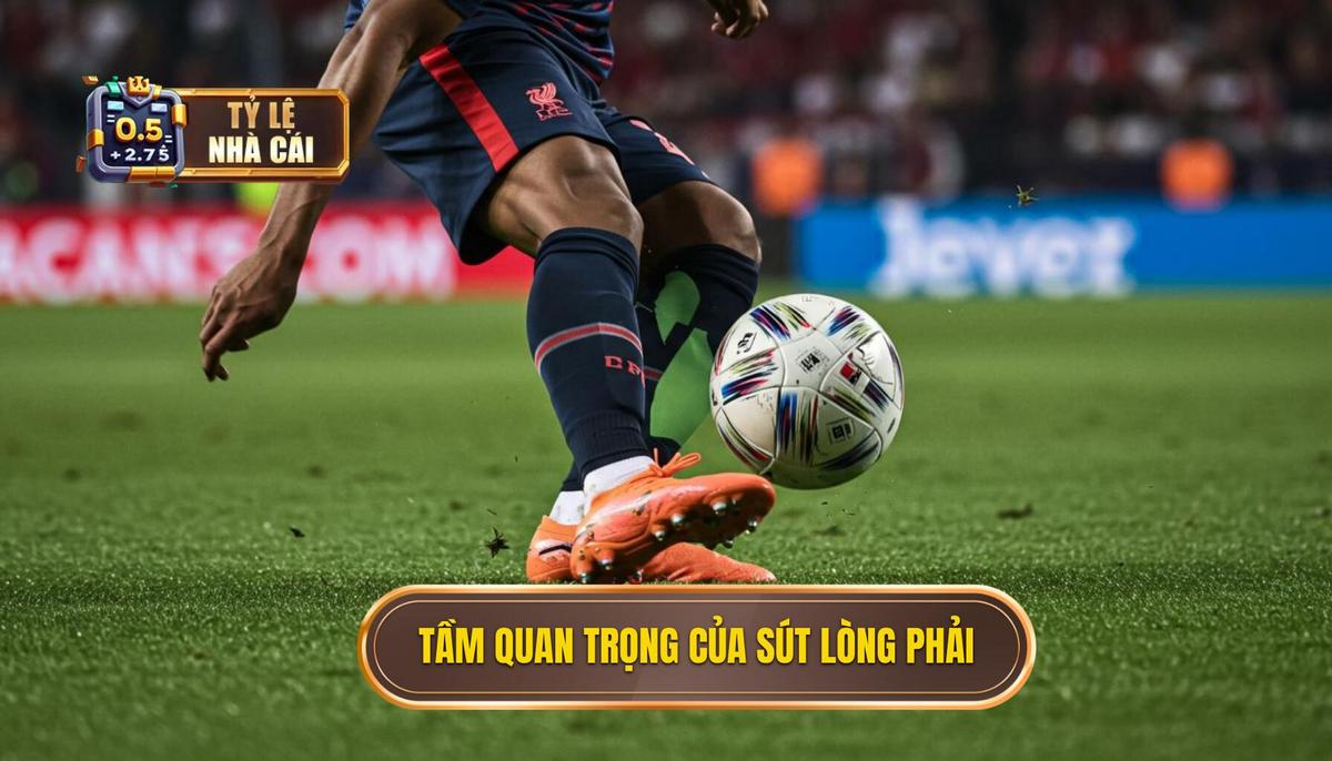 I. Tầm Quan Trọng Của Kỹ Thuật Sút Bóng Bằng Lòng Bàn Chân Phải 
