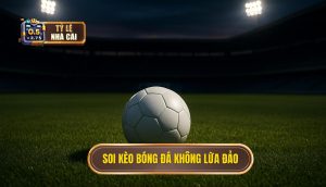 thumb - soi kèo bóng đá không lừa đảo