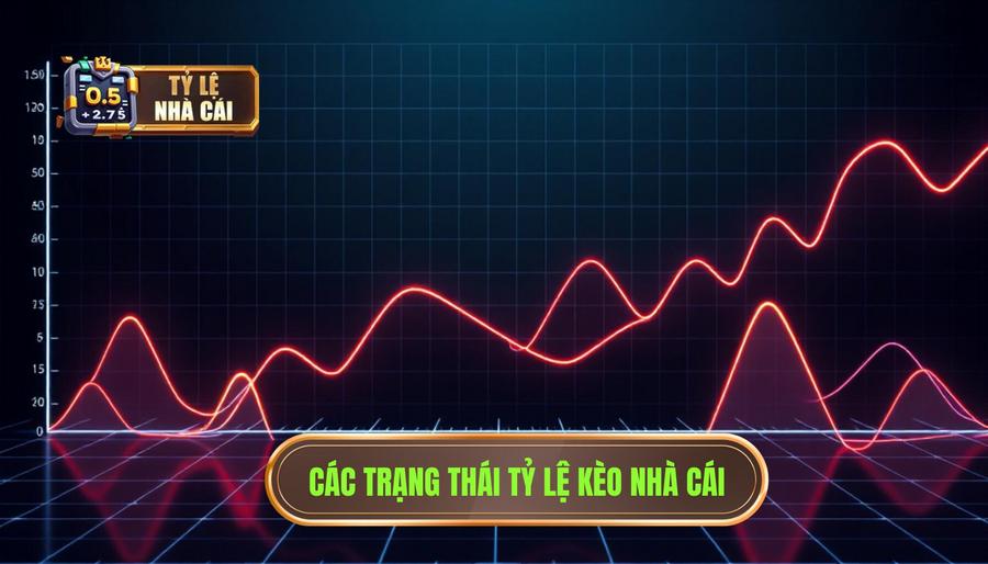 Phân loại các trạng thái của tỷ lệ nhà cái mở kèo