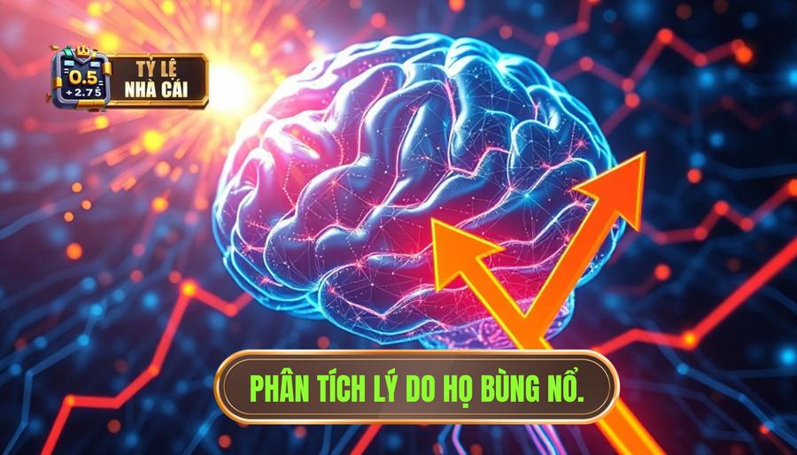 Phân tích chiều sâu: Tại sao họ lại bùng nổ?