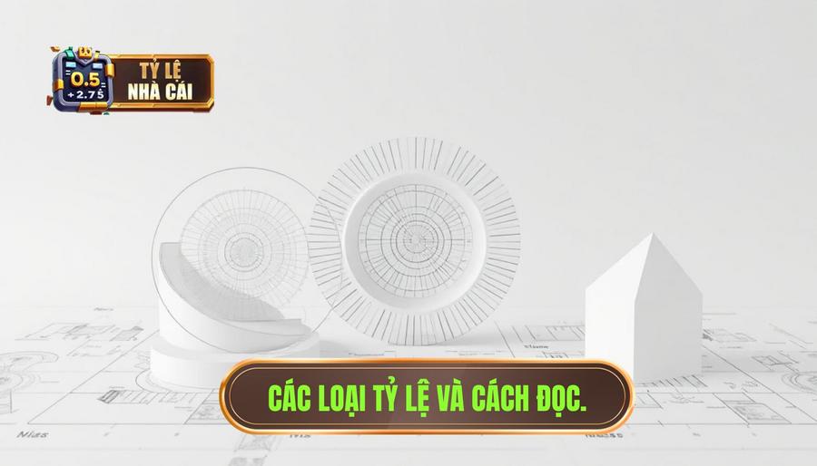 3. Các loại tỷ lệ phổ biến và cách đọc hiểu chuyên sâu 3. Các loại tỷ lệ phổ biến và cách đọc hiểu chuyên sâu